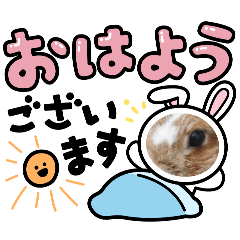 usapanz_20260428153055