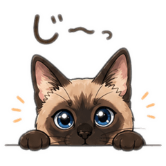 shichan_20260428153727