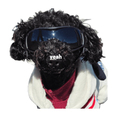 Rinka_20260428153809