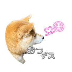 kotaoo_20260428130712