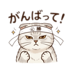 Yomuchan_20260428131007