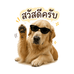 Golden Retriever (Phoprak)