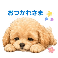lien_20260428154612