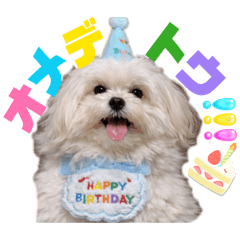 RANMARU_20260428155146