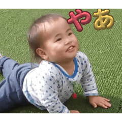 ringo_20260428185052