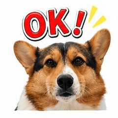 Daily life of Cocoa the Corgi