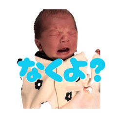 Mchan_20260428162819
