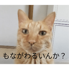 kiyo_20260428163224