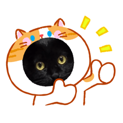 Ayana_20260428195027