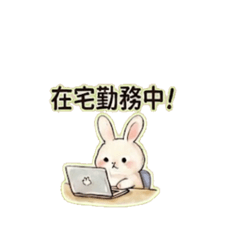 Usagi usagi- Daily Chat Stickers2