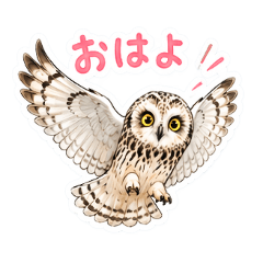 kin_20260428195539