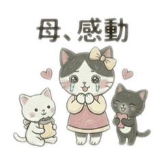 Apron Cat Mom: Kind & Real Everyday