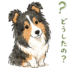 Sheltie Mayu Stickers ver2