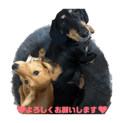 HIYORI_20260428140903