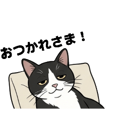 Tuxedo cat[Yuki] Stamp