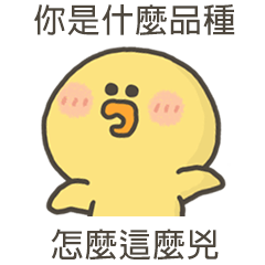 yellow duck say9