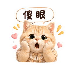 噗莓-傻眼貓咪了！