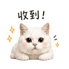 白毛の工作日常