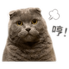 劉圓圓