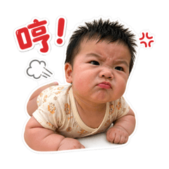 千層派寶寶16張