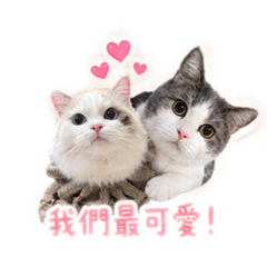 娜比&八圈