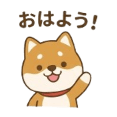 kawaii shiba kun
