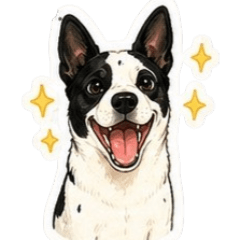 healthy dog2