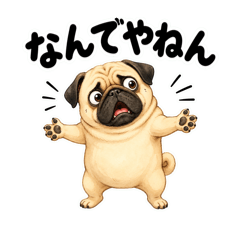 Pug True Feelings Funny Edition