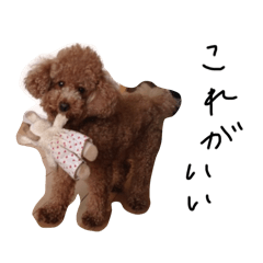 karan_20260428125030