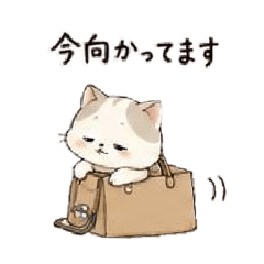 sango_20260428130909