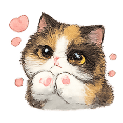 Non Boong Calico Cat v.1