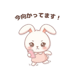 momoco_20260428203055