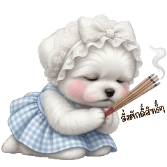 Flu-O, Fluffy Maltese with Cute Phrases