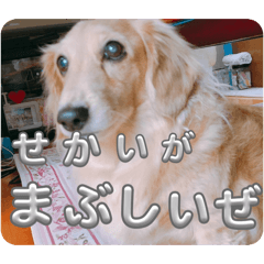 Tarou_20260428203909