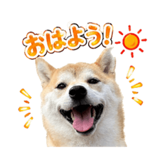 Ree_20260428210216