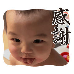 8aruuuuu_20260428205754