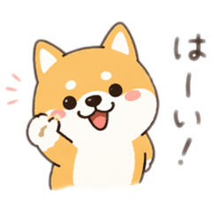 Dorayaki_20260423121155