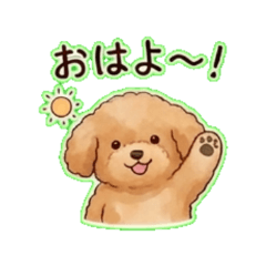 Luuk - Daily Chat Stickers