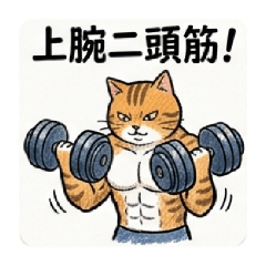 muscle.cat