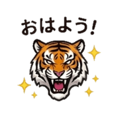 Cool Tiger - Daily Chat Stickers