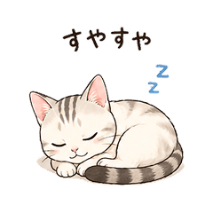 CATROY2