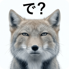 Cold Reaction Animals!