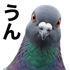 Real Animal Reactions!