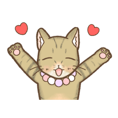 Bibi, my second son's cat