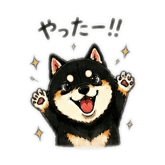 Kuroshiba House_20260428153215