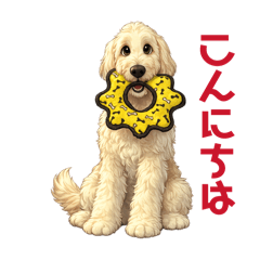 sheril mama_20260428153206