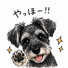 Schnauzer's Daily Life !