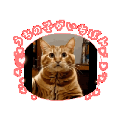 Minakawakai_20260428170546