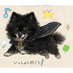 zebiaps_20260428164428