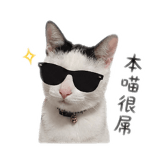 斑馬線